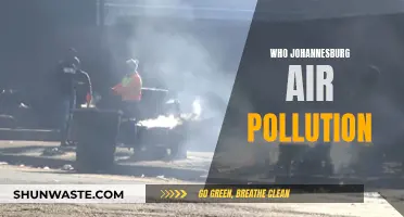 Johannesburg's Air Pollution: A Public Health Crisis