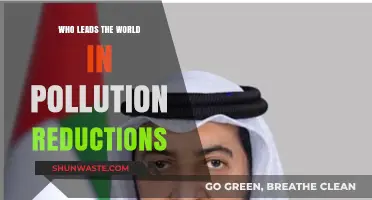 Global Leaders in Pollution Reduction: Who’s Making the Biggest Impact?