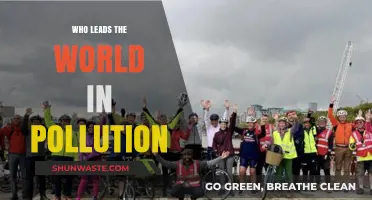 Global Pollution Leaders: Which Nations Contribute the Most to Environmental Degradation?