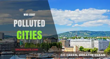 Breathing Easy: Discovering the World’s Least Polluted Cities