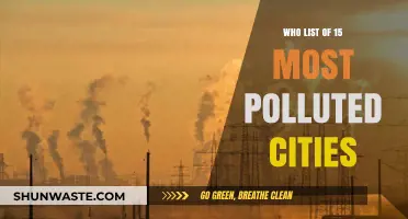 Unveiling WHO's List: 15 Most Polluted Cities Worldwide