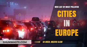 Europe's Air Quality Crisis: Most Polluted Cities Revealed by WHO