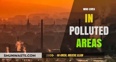 Breathing Danger: Who Lives in Polluted Areas and Why?