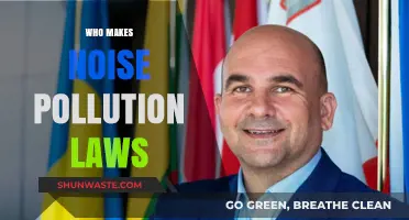 Who Enforces Noise Pollution Laws and How They Impact Communities