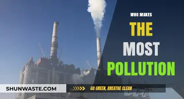 Unveiling the Top Polluters: Industries and Nations Driving Global Pollution