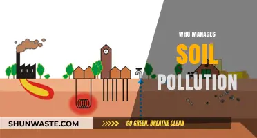Who Manages Soil Pollution: Key Players and Their Roles