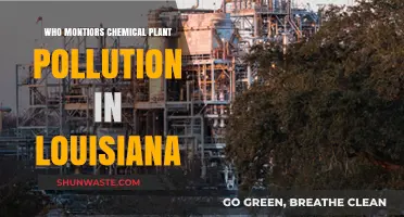 Who Watches Louisiana's Chemical Plants? Pollution Monitoring Explained