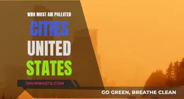Air Pollution: America's Most Polluted Cities