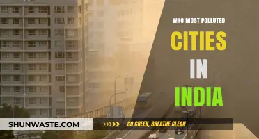 India's Most Polluted Cities: Unveiling the Air Quality Crisis