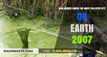 Unveiling the Source: Who Dubbed Linfen Earth's Most Polluted City in 2007?