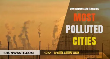Exposing the World's Most Polluted Cities: Who's Naming and Shaming?