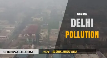 New Delhi's Air Crisis: Causes, Impacts, and Urgent Solutions