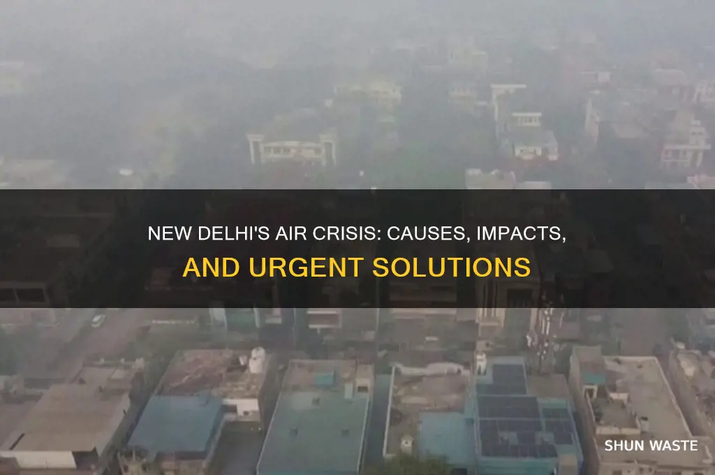 who new delhi pollution