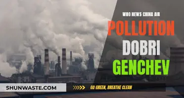 China's Air Pollution: WHO's Take and the Way Forward