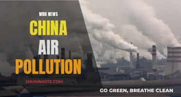 China's Air Pollution: WHO's Take