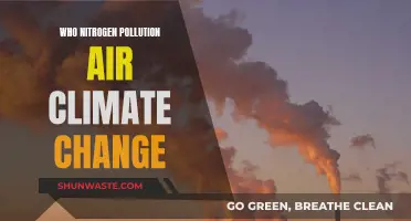 Nitrogen's Impact: Air Pollution and Climate Change