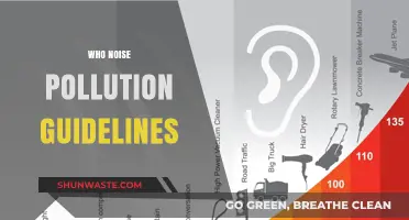 Understanding WHO Noise Pollution Guidelines for a Healthier Environment