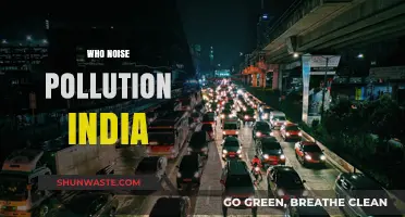 India's Noise Pollution Crisis: Causes, Impacts, and Solutions