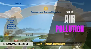 Air Pollution: The Silent Killer Around Us