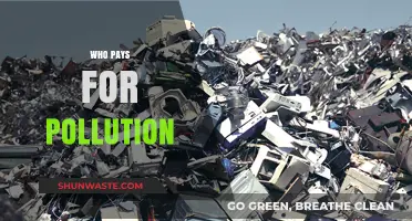 Who Bears the Cost of Pollution? Uncovering Responsibility and Impact