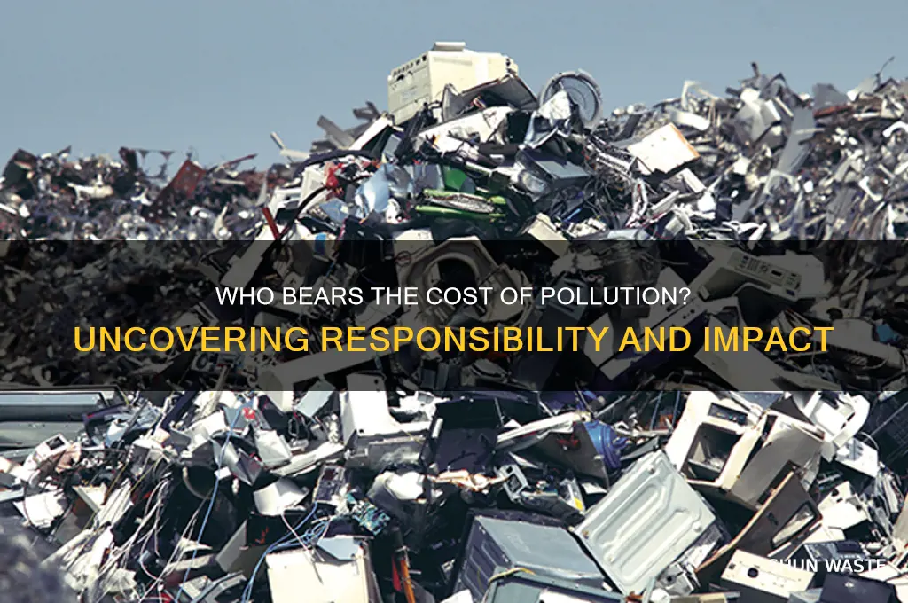 who pays for pollution