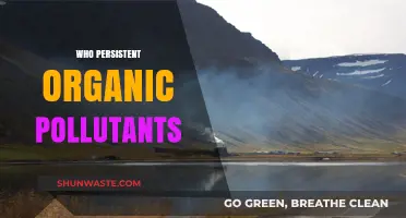Understanding Persistent Organic Pollutants: Impact, Sources, and Global Concerns
