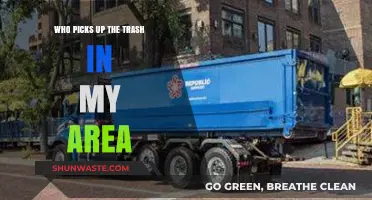 Who Handles Trash Collection in My Neighborhood? A Local Guide