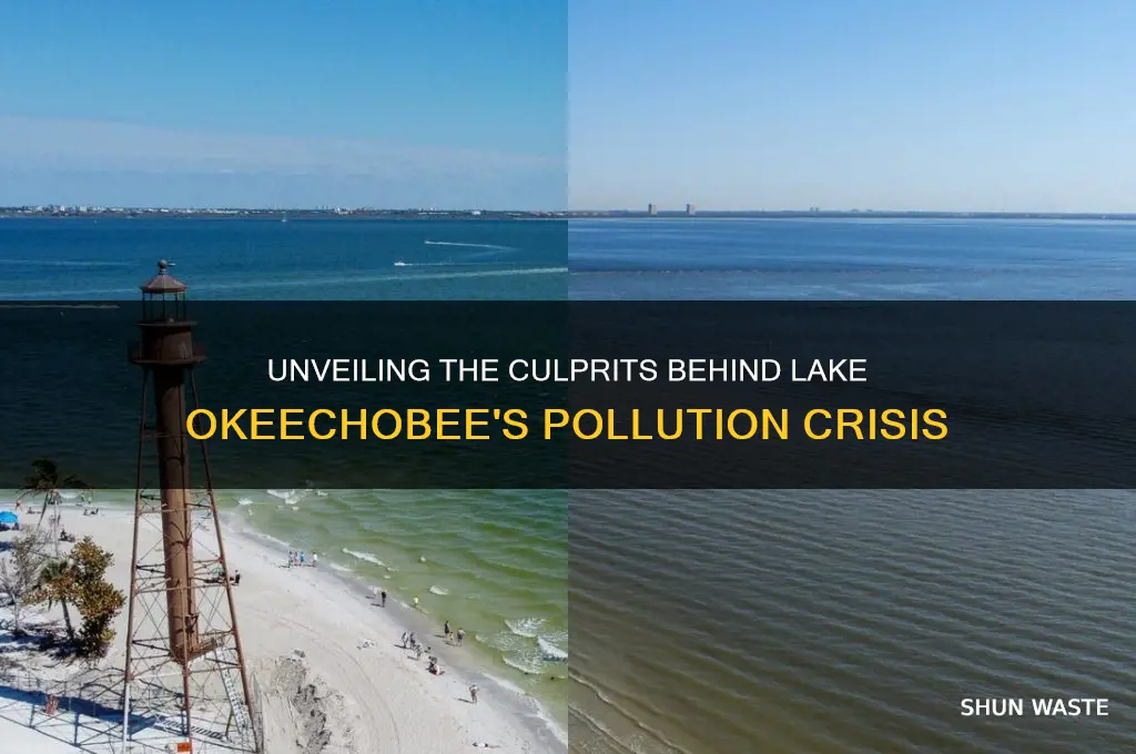 who pollute lake okeechobee