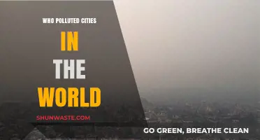 Urban Air Crisis: Unveiling the Culprits Behind the World's Most Polluted Cities