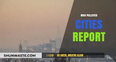 Unveiling the Culprits: Who Polluted Our Cities? A Comprehensive Report