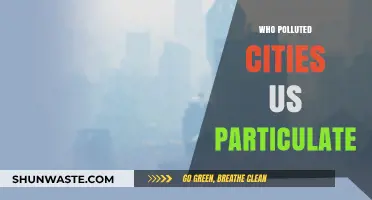 Unveiling the Culprits Behind Urban Particulate Pollution in US Cities