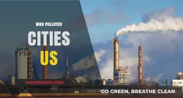 Unveiling the Culprits Behind America's Polluted Cities: A Deep Dive
