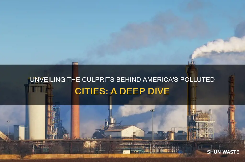 who polluted cities us