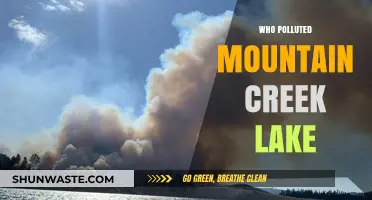 Unveiling the Culprits Behind Mountain Creek Lake's Pollution Crisis