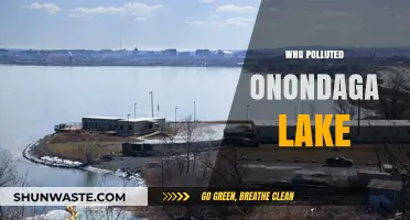 Who Polluted Onondaga Lake? Uncovering the Industrial Culprits