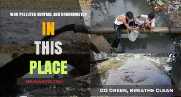 Unveiling the Culprits Behind Surface and Groundwater Pollution in [Place]