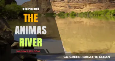 Uncovering the Culprits Behind the Animas River Pollution Crisis