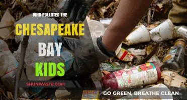 Who Polluted the Chesapeake Bay? A Kid-Friendly Investigation