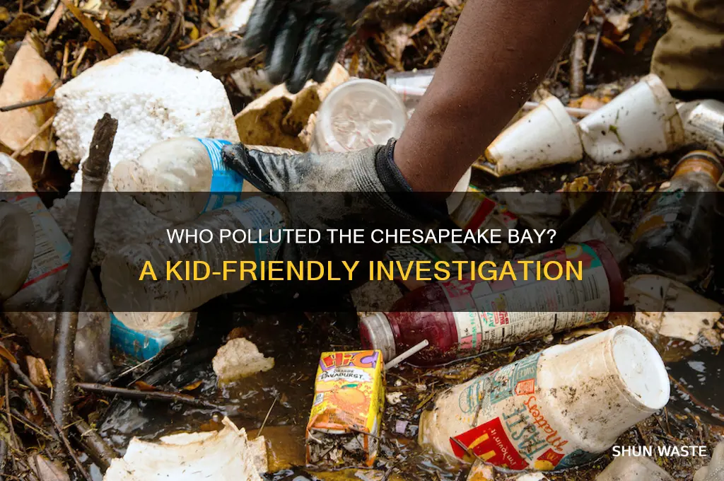 who polluted the chesapeake bay kids