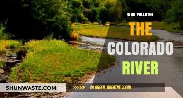 Unveiling the Culprits Behind the Colorado River's Pollution Crisis