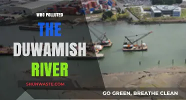 Unveiling the Culprits Behind the Duwamish River's Pollution Crisis