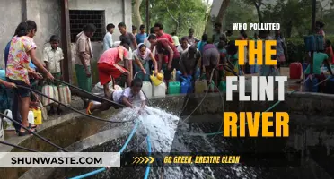Uncovering the Culprits Behind Flint River's Devastating Pollution Crisis