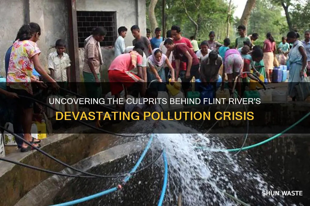 who polluted the flint river