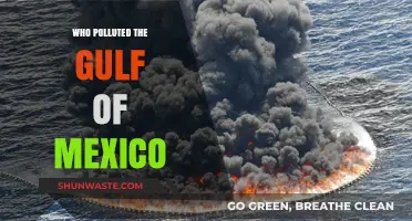 Unveiling the Culprits Behind the Gulf of Mexico's Pollution Crisis