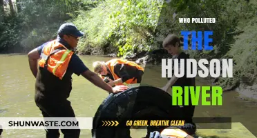 Unveiling the Culprits Behind the Hudson River's Pollution Crisis