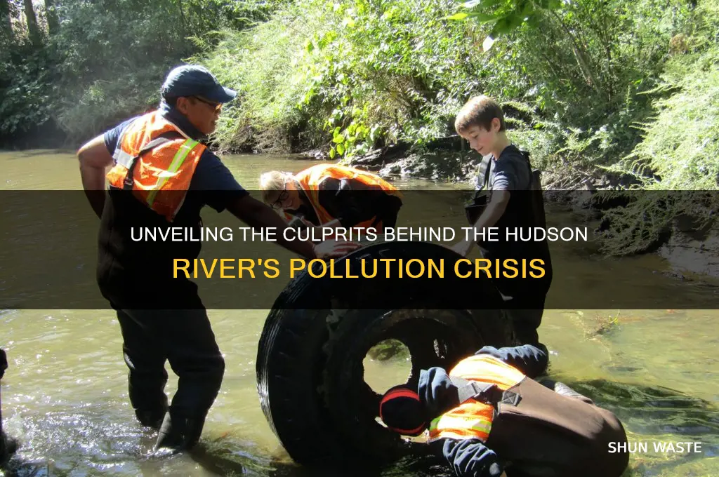 who polluted the hudson river
