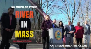 Uncovering the Culprits Behind the Neponset River Pollution in Massachusetts