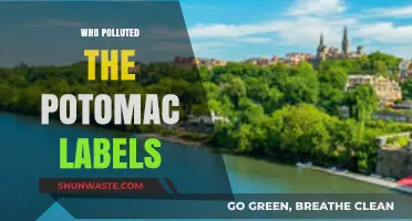 Unveiling the Culprits Behind Potomac River Pollution: A Label Investigation
