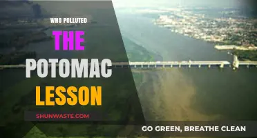 Unveiling the Culprits Behind the Potomac River's Pollution Crisis