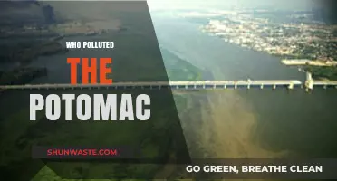 Unveiling the Culprits Behind the Potomac River's Pollution Crisis